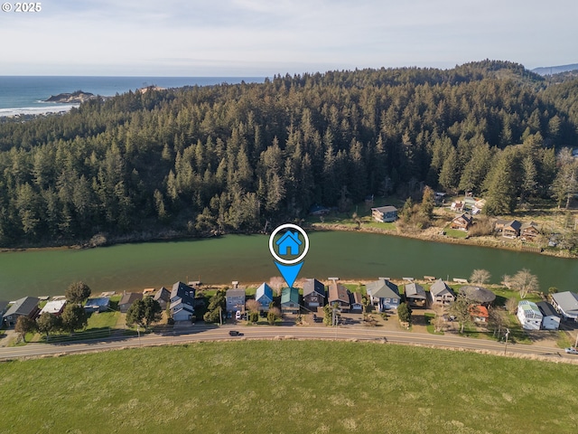 aerial view with a water view and a view of trees