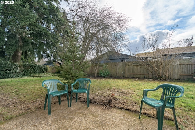 view of yard featuring a fenced backyard