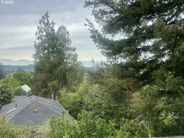 view of mountain background