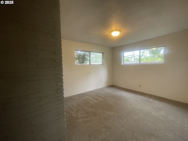 spare room featuring carpet flooring and plenty of natural light