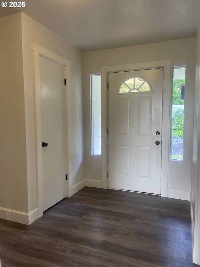 entrance foyer with baseboards, plenty of natural light, and dark wood-type flooring