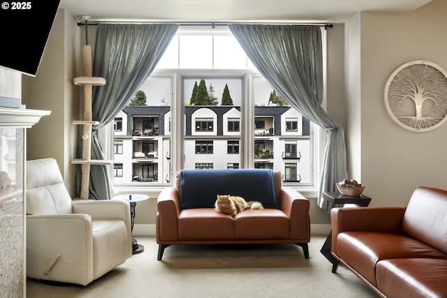 707 N Hayden Island Dr Unit 413, Portland, OR 97217 - living area featuring carpet flooring