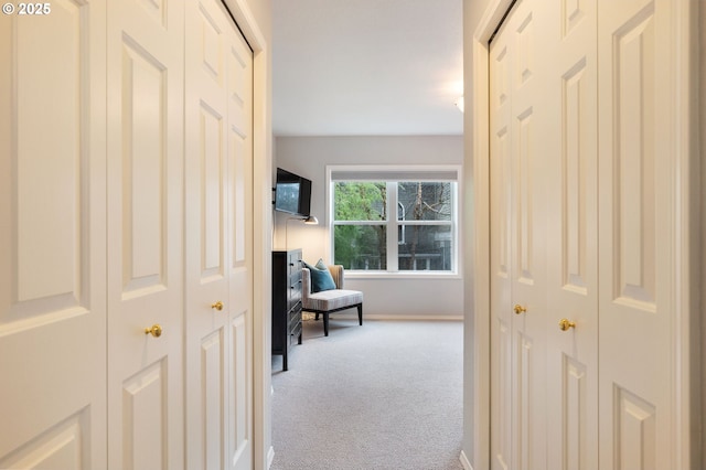 hallway with carpet floors