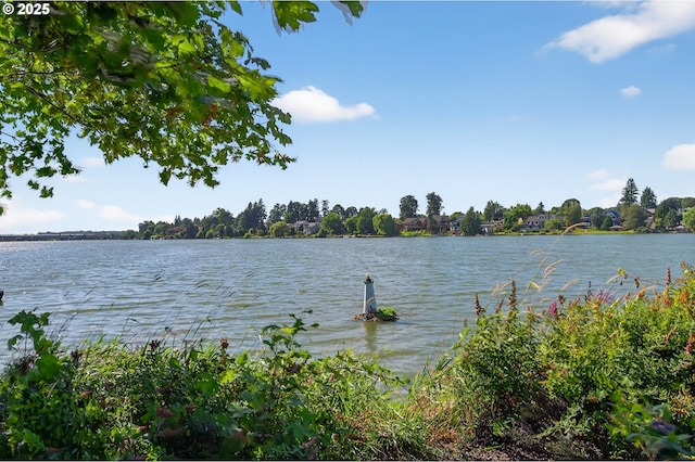 21401 NE Shore Dr, Fairview, OR 97024 - water view