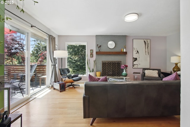 living room featuring wood finished floors and a fireplace