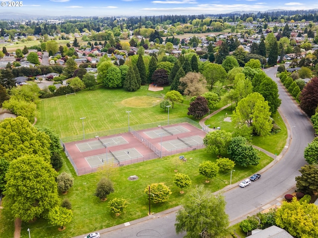 drone / aerial view