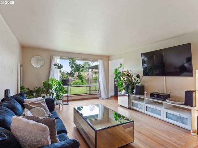 living room featuring wood finished floors