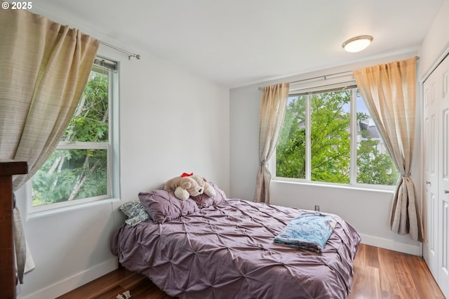 16040 SW Audubon St Unit 101, Beaverton, OR 97003 - bedroom with wood finished floors and a closet
