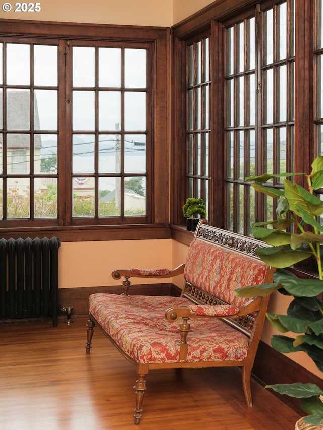 1343 Jerome Ave, Astoria, OR 97103 - living area featuring radiator heating unit, plenty of natural light, and wood finished floors