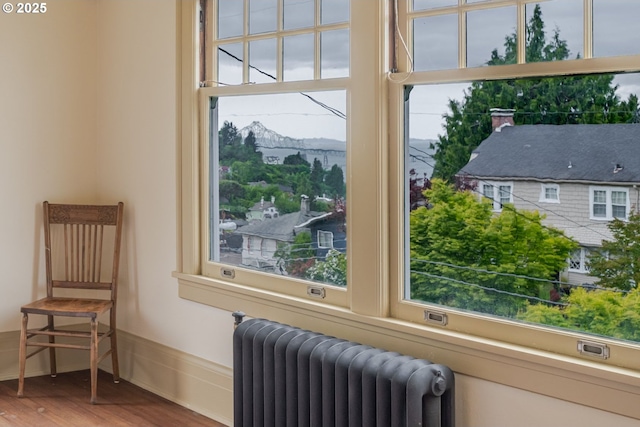 1343 Jerome Ave, Astoria, OR 97103 - living area featuring radiator, wood finished floors, plenty of natural light, and a mountain view