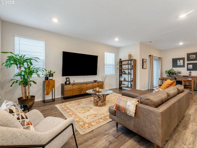 living room featuring wood-type flooring