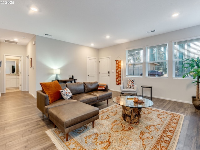 living room with a healthy amount of sunlight and light hardwood / wood-style floors