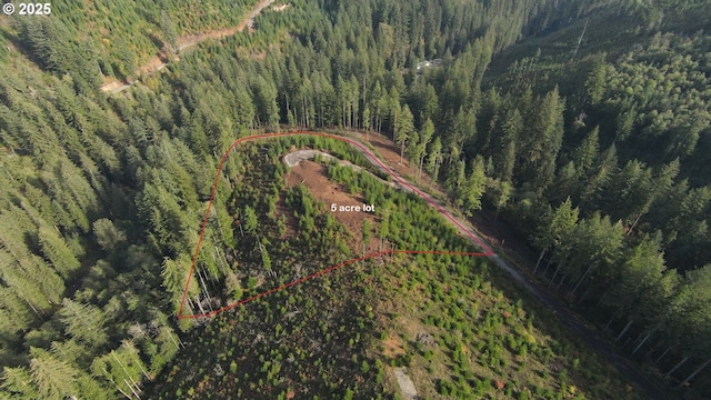 1051 Skamania Mines Rd, Washougal, WA 98671