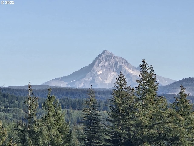 1051 Skamania Mines Rd, Washougal, WA 98671