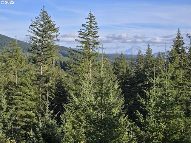 1051 Skamania Mines Rd, Washougal, WA 98671