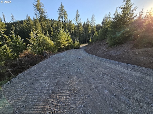 1051 Skamania Mines Rd, Washougal, WA 98671