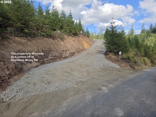 1051 Skamania Mines Rd, Washougal, WA 98671