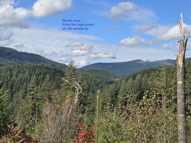 1051 Skamania Mines Rd, Washougal, WA 98671