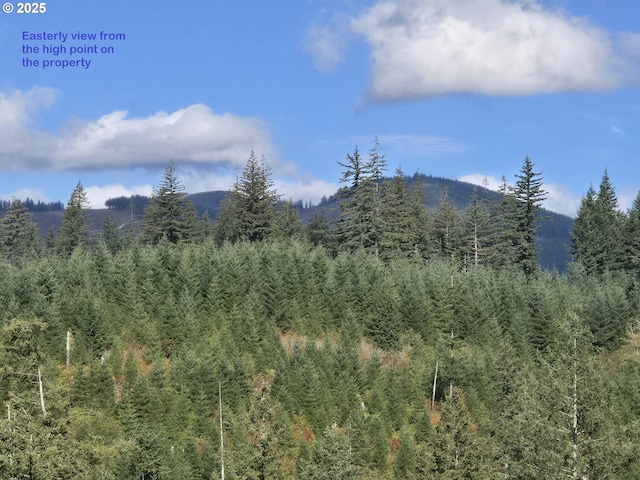 1051 Skamania Mines Rd, Washougal, WA 98671