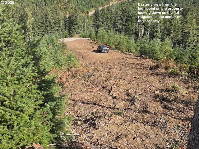 1051 Skamania Mines Rd, Washougal, WA 98671