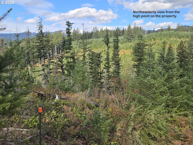 1051 Skamania Mines Rd, Washougal, WA 98671