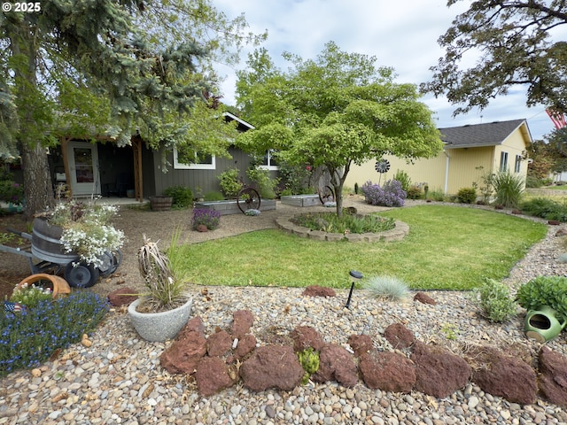 19795 SW Frances St, Beaverton, OR 97003 - view of green lawn