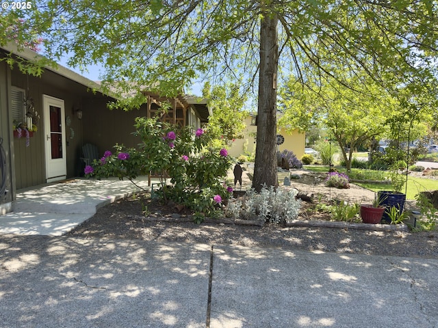 19795 SW Frances St, Beaverton, OR 97003 - view of yard