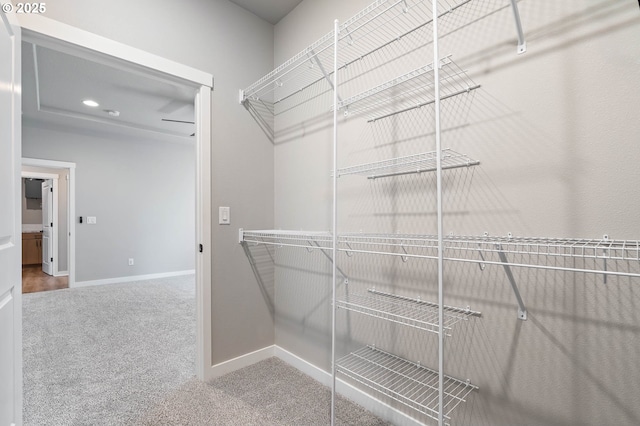 5807 NE 77th Cir, Vancouver, WA 98661 - spacious closet with carpet