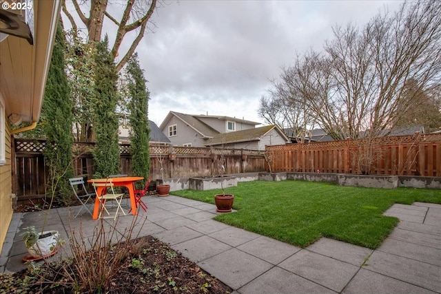 view of yard with a patio and a fenced backyard