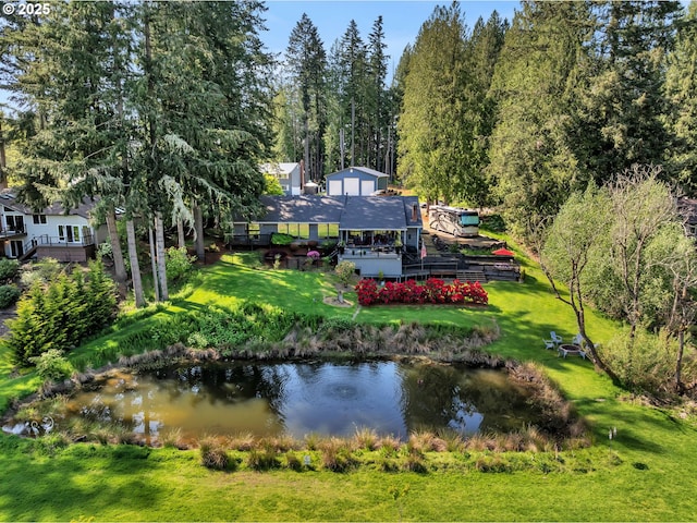 water view with a forest