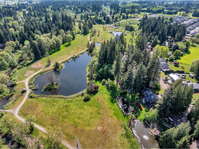 aerial overview of property's location with a nearby body of water