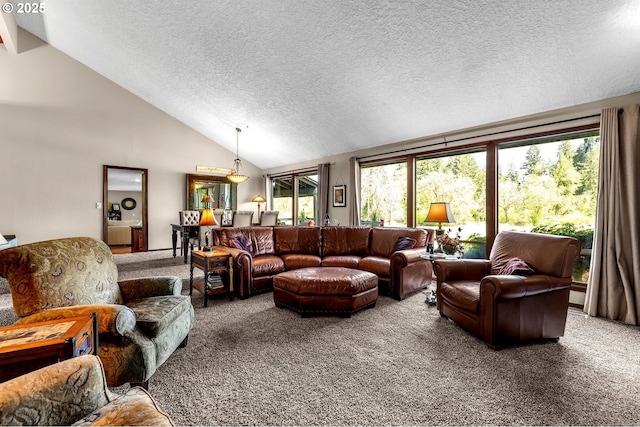 living area featuring carpet flooring, lofted ceiling, and a textured ceiling