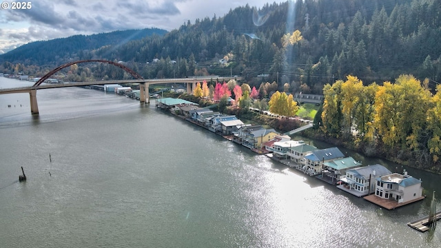 aerial view with a water view and a view of trees