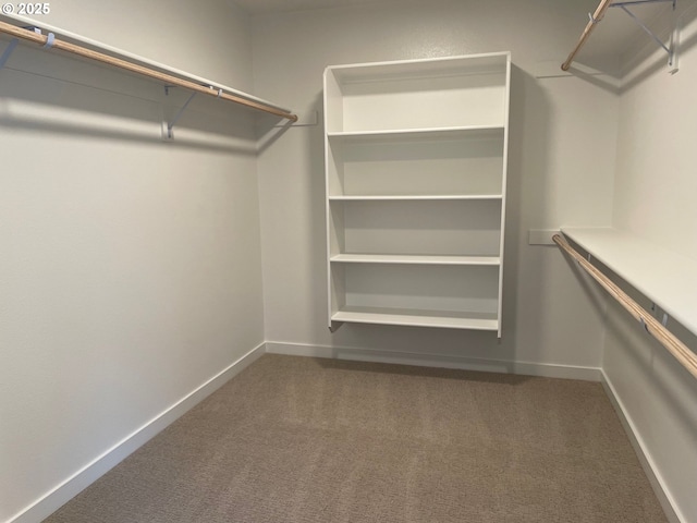 7863 SW Thornbridge Ter Unit 11, Beaverton, OR 97007 - walk in closet featuring carpet