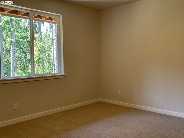 7863 SW Thornbridge Ter Unit 11, Beaverton, OR 97007 - unfurnished room featuring plenty of natural light, baseboards, and light colored carpet