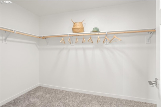 spacious closet with carpet flooring