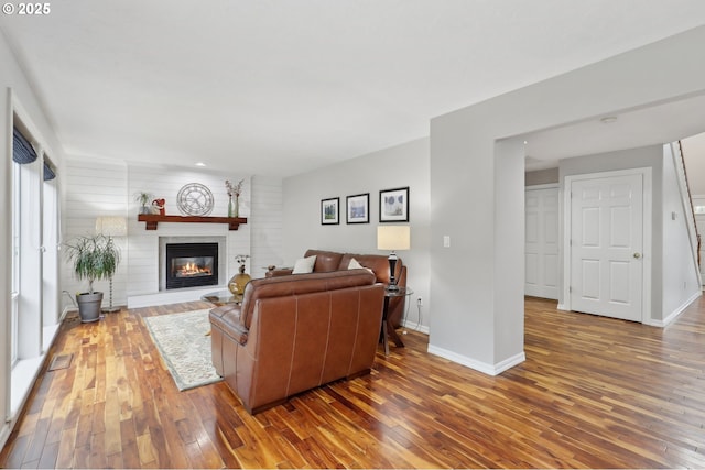 living room with a fireplace and wood-type flooring