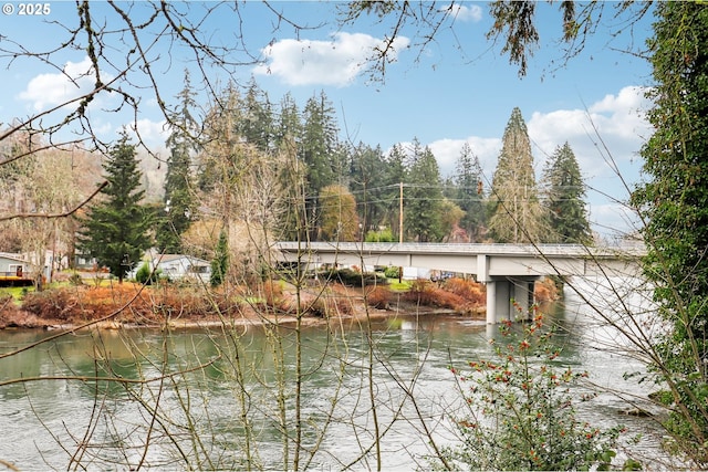 16374 SE Orchard View Ln, Damascus, OR 97089 - water view featuring a notable bridge