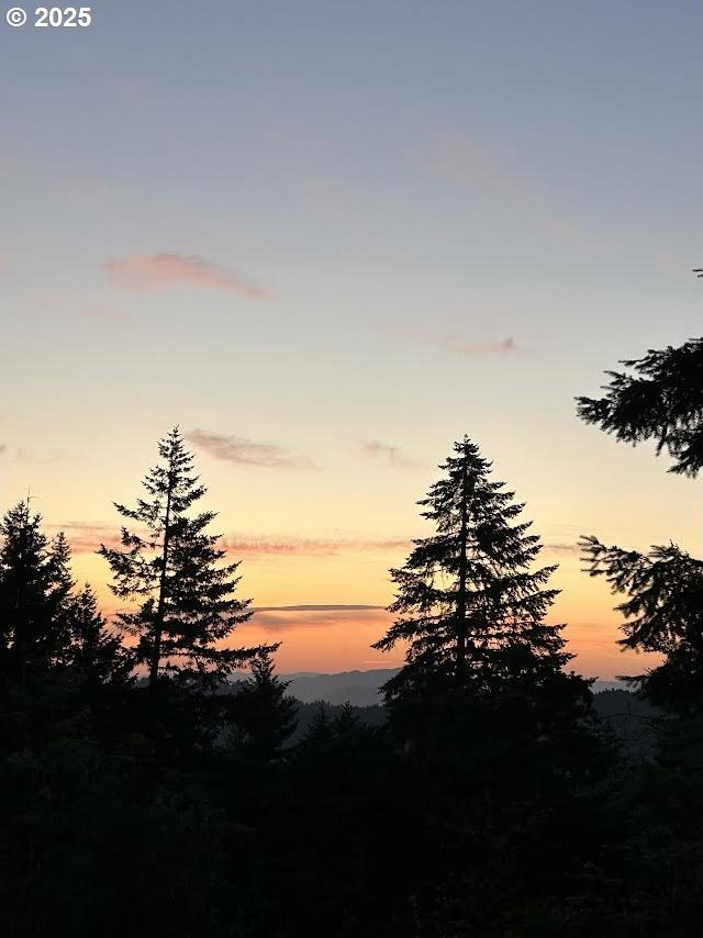 540 Montara Way, Eugene, OR 97405 - view of nature at dusk
