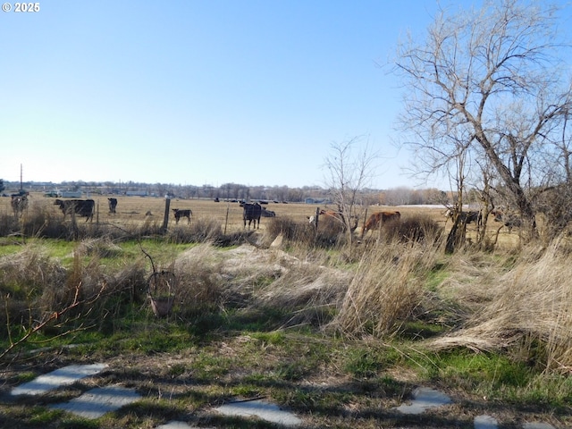 view of landscape featuring a rural view