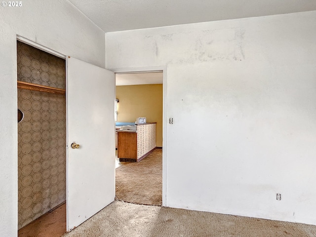 interior space featuring a closet and carpet