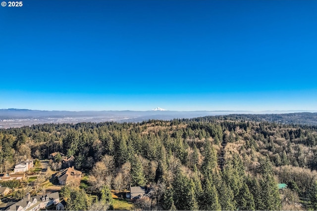 property view of mountains