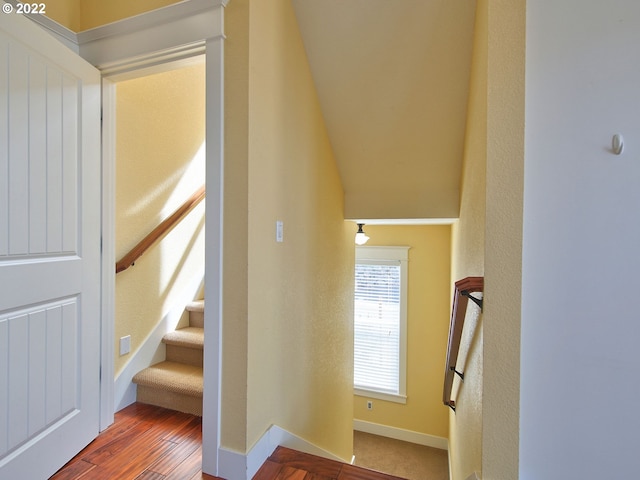 staircase featuring wood-type flooring