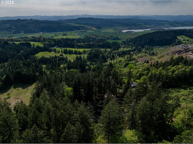 bird's eye view featuring a mountain view and a forest view