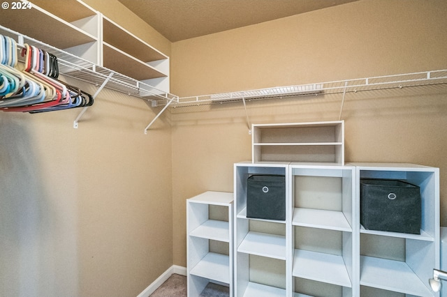 spacious closet with carpet flooring