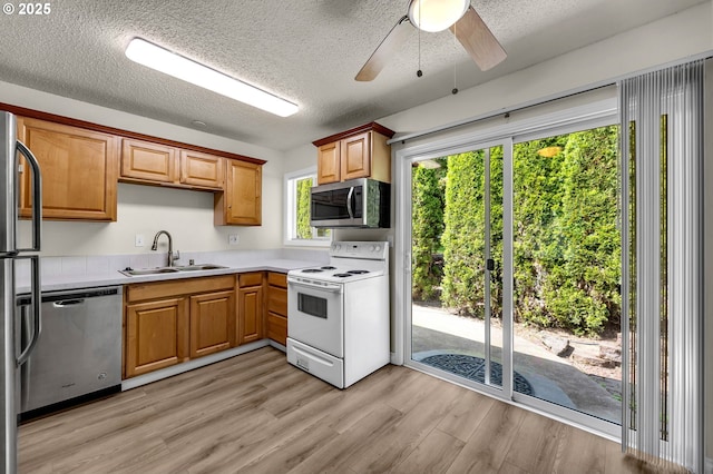 2117 Kauffman Ave, Vancouver, WA 98660 - kitchen featuring appliances with stainless steel finishes, a sink, healthy amount of natural light, light wood finished floors, and a textured ceiling