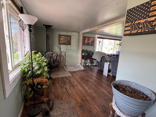 interior space featuring a healthy amount of sunlight, a wood stove, and wood finished floors