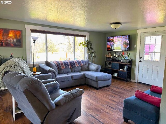 living room with a textured ceiling, plenty of natural light, and wood finished floors