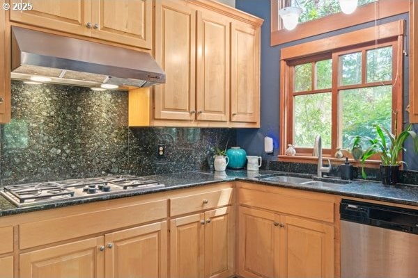 86595 N Modesto Dr, Eugene, OR 97402 - kitchen featuring appliances with stainless steel finishes, under cabinet range hood, a sink, backsplash, and light brown cabinets
