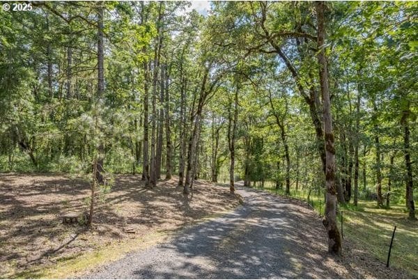 86595 N Modesto Dr, Eugene, OR 97402 - view of street featuring a view of trees